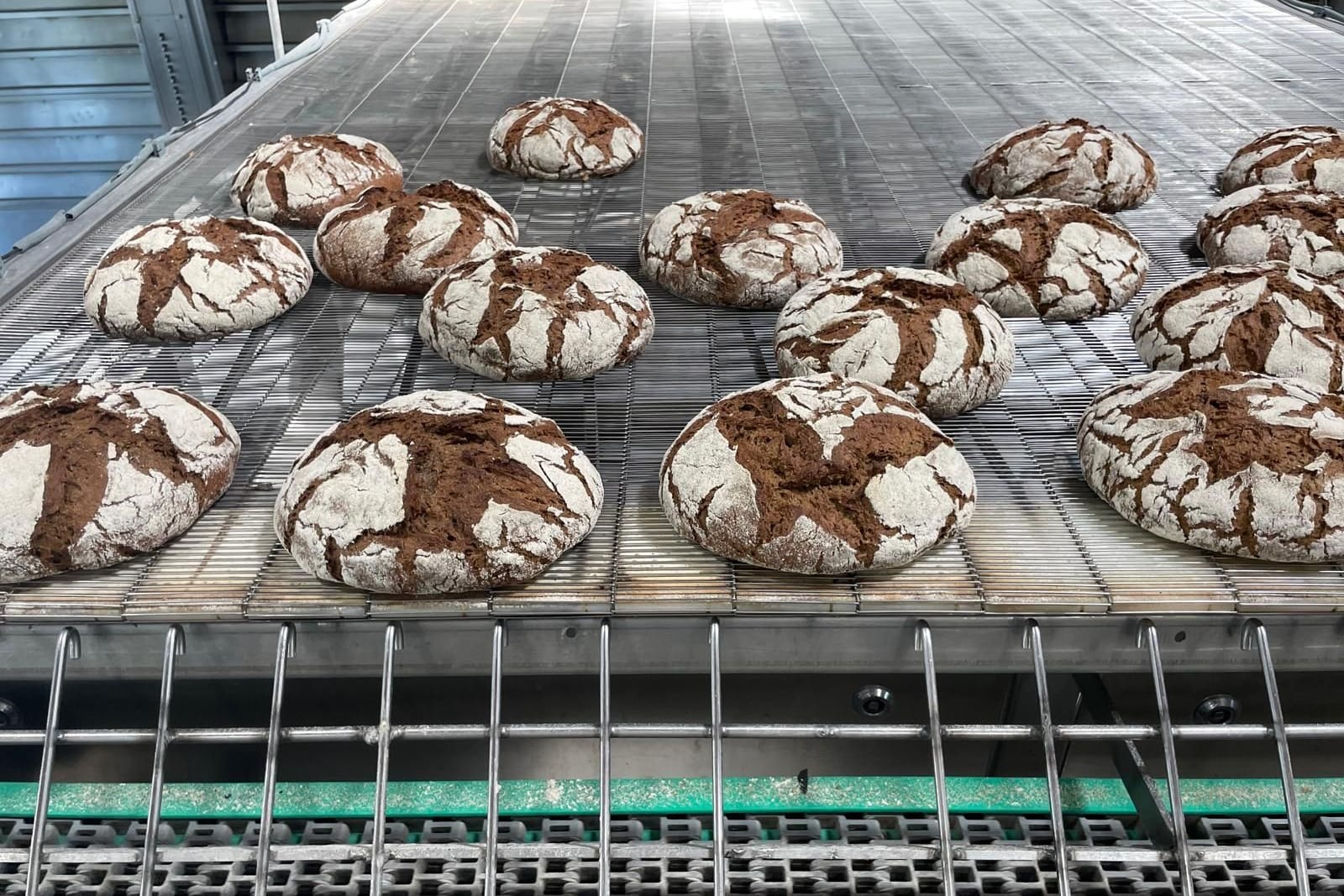 Frisch aus dem Ofen: In einer Großbäckerei wird das "flüssige Mehl" aus Biertreber bereits in Brotteigen getestet.